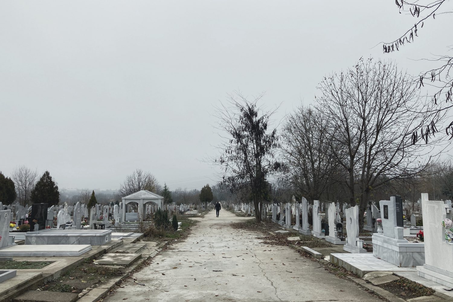 Алея с бели надгробни паметници в гробищен парк в зимен ден – снимка: Боян Драгомиров