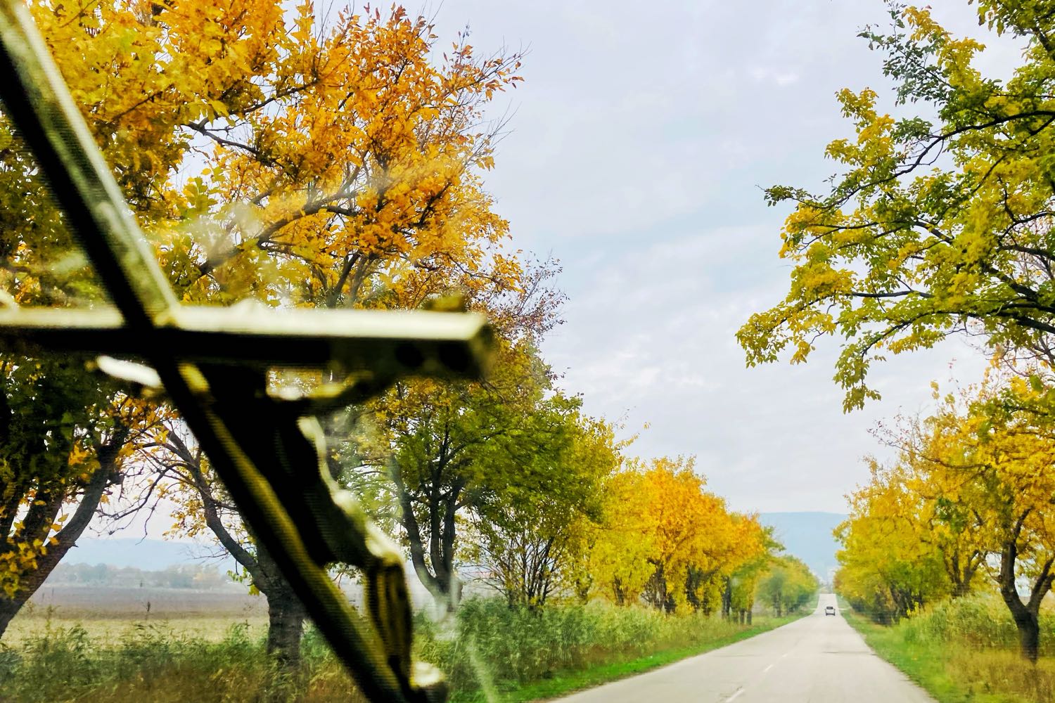Кръст в катафалката по път сред есенни дървета – снимка: Боян Драгомиров